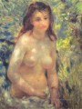 Study Torso Sunlight Effect Pierre Auguste Renoir